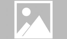 91伙伴旅游助手直播,畅游天下，尽享旅途中每一刻